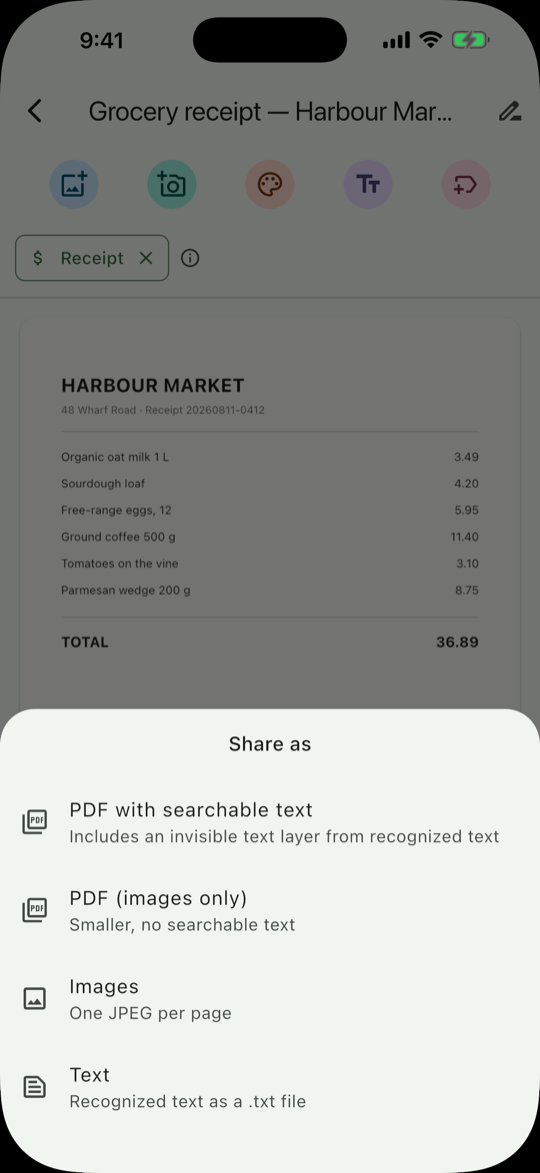 Share as sheet listing PDF with searchable text, PDF images only, Images as JPEG, and Text as txt